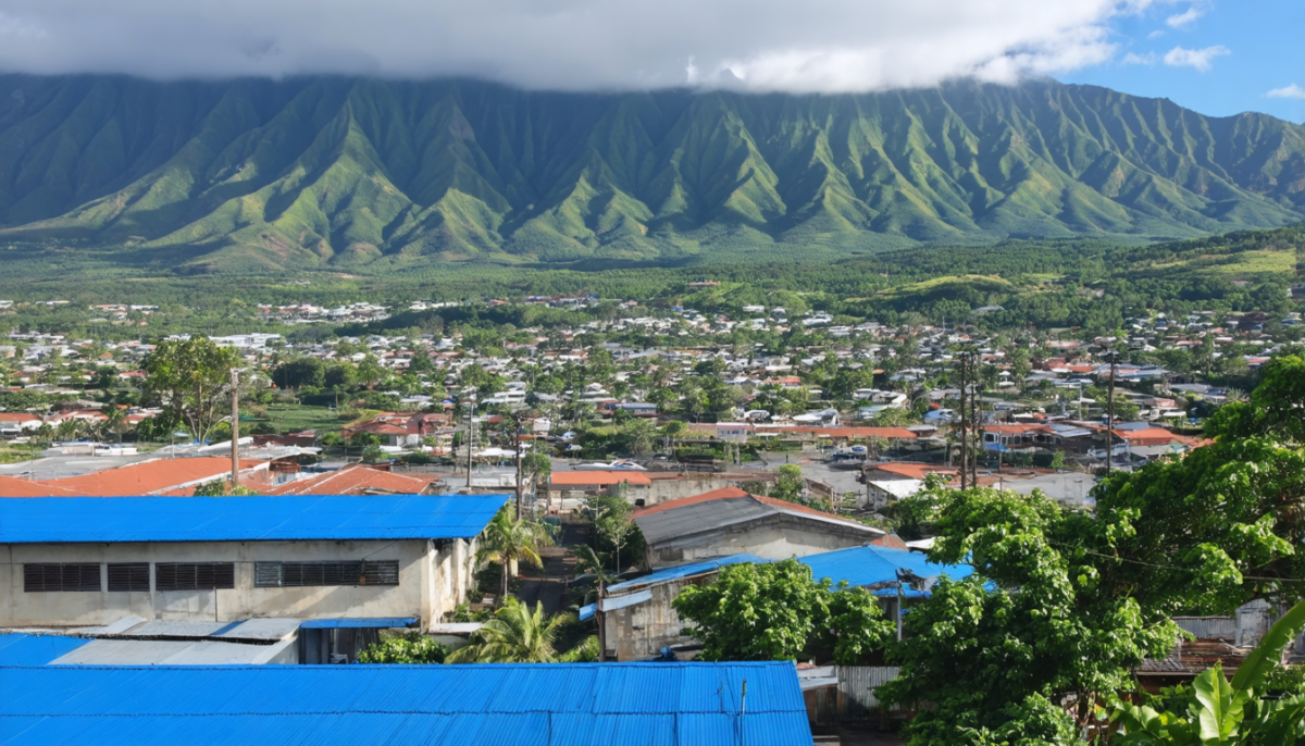 découvrez comment l'économie de la réunion est profondément influencée par les allocations sociales, un facteur clé de son développement et de son dynamisme.